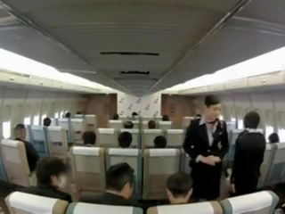 Piękne stewardessa